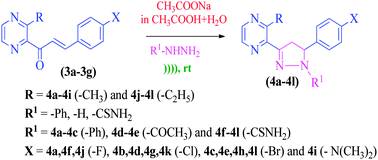 Graphical abstract: Synthesis, characterization, antibacterial, antioxidant, DNA binding and SAR study of a novel pyrazine moiety bearing 2-pyrazoline derivatives