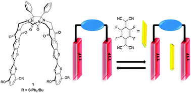 Graphical abstract: Synthesis of glycoluril-tetrathiafulvalene molecular clips for electron-deficient neutral guests through a straightforward Diels–Alder strategy