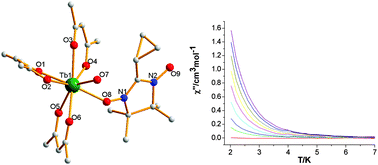 Graphical abstract: Magnetic relaxation in mononuclear Tb complex involving a nitronyl nitroxide ligand