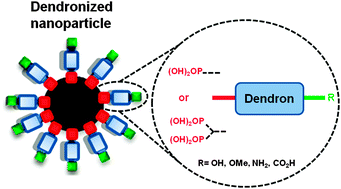 Graphical abstract: Efficient synthesis of small-sized phosphonated dendrons: potential organic coatings of iron oxide nanoparticles