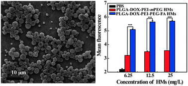 Graphical abstract: Doxorubicin-loaded poly(lactic-co-glycolic acid) hollow microcapsules for targeted drug delivery to cancer cells