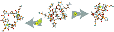 Graphical abstract: The impact of two –GlyProGly– motifs on formation of di-copper complexes by His4-cyclopeptides