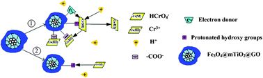 Graphical abstract: Adsorption property of Cr(vi) on magnetic mesoporous titanium dioxide–graphene oxide core–shell microspheres