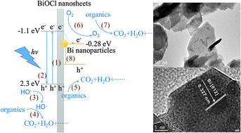 Graphical abstract: Photocatalytic properties of Bi/BiOCl heterojunctions synthesized using an in situ reduction method