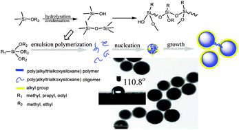 Graphical abstract: Synthesis and properties of hybrid core–shell poly(alkyltrialkoxysiloxane) latex