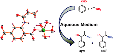 Graphical abstract: Synthesis, structure and catalytic applications of amidoterephthalate copper complexes in the diastereoselective Henry reaction in aqueous medium