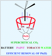 Graphical abstract: Complexation with calixarenes and efficient supercritical CO2 extraction of Pb(ii) from acidic medium