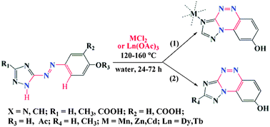 Graphical abstract: M2+ and Ln3+-catalyzed synthesis of a [1,2,4]triazine core via intramolecular C–H/N–H functionalization and C–N bond formation (M = Mn, Zn, Cd; Ln = Dy, Tb)