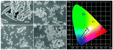 Graphical abstract: Morphology control and multicolor-tunable luminescence of YOF:Ln3+ (Ln = Eu, Tb, Dy, Tm) nano-/microcrystals