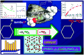 Graphical abstract: Alkane oxidation with peroxides catalyzed by cage-like copper(ii) silsesquioxanes
