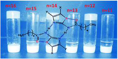 Graphical abstract: Odd–even effect in a thiazole based organogelator: understanding the interplay of non-covalent interactions on property and applications