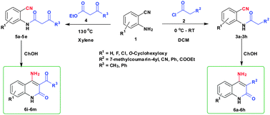 Graphical abstract: Environmentally benign synthesis of 4-aminoquinoline-2-ones using recyclable choline hydroxide