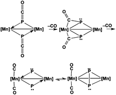 Graphical abstract: Carbonyl migration from phosphorus to the metal in binuclear phosphaketenyl metal carbonyl complexes to give bridging diphosphido complexes