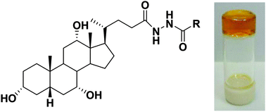 Graphical abstract: Bile acid hydrazides: gelation, structural, physical and spectroscopic properties