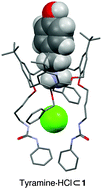 Graphical abstract: Selective recognition of biogenic amine hydrochlorides by heteroditopic dihomooxacalix[4]arenes