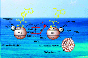 Graphical abstract: A simple carbazole based sensitizer attached to a Nafion-coated-TiO2 photocatalyst: the impact of controlling parameters towards visible light driven H2 production