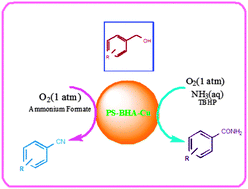 Graphical abstract: An aerobic oxidative synthesis of aryl nitriles and primary aryl amides from benzylic alcohols catalyzed by a polymer supported Cu(ii) complex