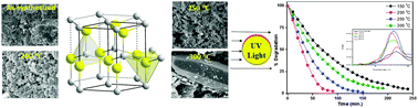 Graphical abstract: Effect of pretreatment temperature on the photocatalytic activity of microwave irradiated porous nanocrystalline ZnO