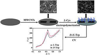 Graphical abstract: A sensing interface for recognition of tryptophan enantiomers based on porous cluster-like nanocomposite films