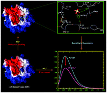 Graphical abstract: A comparative study of the effects of the Hofmeister series anions of the ionic salts and ionic liquids on the stability of α-chymotrypsin