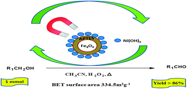 Graphical abstract: Nano Fe3O4@APTES@Ni(OH)2 as a catalyst for alcohol oxidation