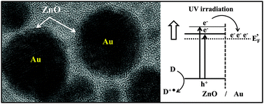 Graphical abstract: The spontaneous room temperature reduction of HAuCl4 in ethylene glycol in the presence of ZnO: a simple strategy to obtain stable Au/ZnO nanostructures exhibiting strong surface plasmon resonance and efficient electron storage properties