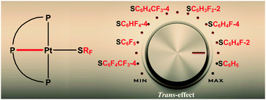 Graphical abstract: cis and trans influences on [Pt(SRF)(triphos)]+ complexes (SRF = polyfluorobenzothiolate)
