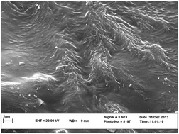 Graphical abstract: Development of a poly(ethylene glycol)–graphene oxide sol–gel coating for solid-phase microextraction of aromatic amines in water samples with a gas chromatography-flame ionization detector method