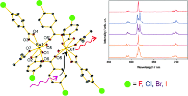 Graphical abstract: The effect of 4-halogenobenzoate ligands on luminescent and structural properties of lanthanide complexes: experimental and theoretical approaches