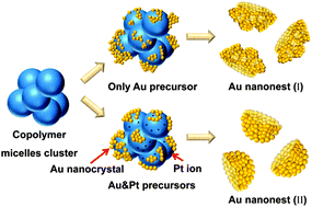 Graphical abstract: Copolymer and platinum ion assisted growth of functionalized gold nanonests
