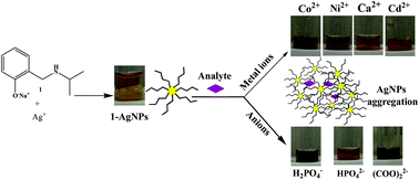 Graphical abstract: Heavy metal cation and anion sensing studies of N-(2-hydroxybenzyl)-isopropylamine surface functionalized AgNPs