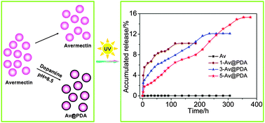 Graphical abstract: Study on the UV-shielding and controlled-release properties of a polydopamine coating for avermectin