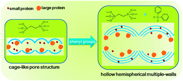 Graphical abstract: The performance of mesoporous organosilicas with phenyl groups in Heme protein immobilization