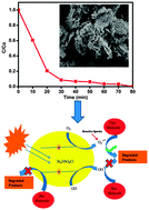 Graphical abstract: Photocatalysis of Bi4NbO8Cl hierarchical nanostructure for degradation of dye under solar/UV irradiation