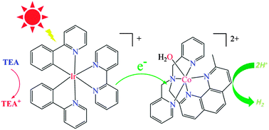 Graphical abstract: Hydrogen photogeneration catalyzed by a cobalt complex of a pentadentate aminopyridine-based ligand