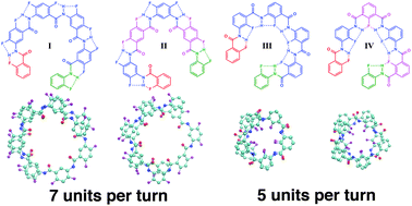 Graphical abstract: Helical arylamide foldamers: structure prediction by molecular dynamics simulations