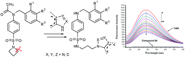 Graphical abstract: Synthesis of novel sulfonamide azoles via C–N cleavage of sulfonamides by azole ring and relational antimicrobial study