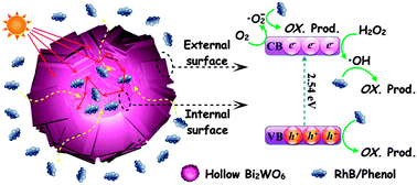 Graphical abstract: A thin empty-shell bismuth tungstate hierarchical structure constructed by the acid sculpture effect with improved visible-light photocatalytic activity