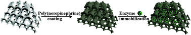 Graphical abstract: Facile immobilization of enzyme on three dimensionally ordered macroporous silica via a biomimetic coating