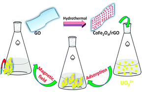 Graphical abstract: Uranium extraction using a magnetic CoFe2O4–graphene nanocomposite: kinetics and thermodynamics studies