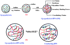 Graphical abstract: Evaluation of a conducting interpenetrating network based on gum ghatti-g-poly(acrylic acid-aniline) as a colon-specific delivery system for amoxicillin trihydrate and paracetamol