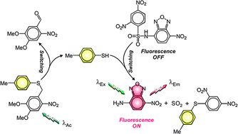 Graphical abstract: Bimolecular photoactivation of NBD fluorescence
