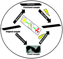 Graphical abstract: A tough, smart elastomeric bio-based hyperbranched polyurethane nanocomposite