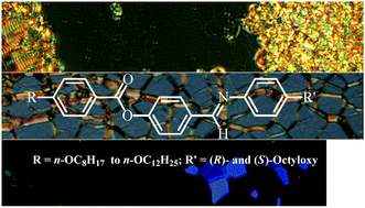 Graphical abstract: Optically active, three-ring calamitic liquid crystals: the occurrence of frustrated, helical and polar fluid mesophases