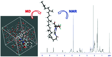 Graphical abstract: Conformational features of 4-(N)-squalenoyl-gemcitabine in solution: a combined NMR and molecular dynamics investigation