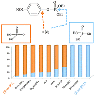 Graphical abstract: Ionic liquids: anion effect on the reaction of O,O-diethyl O-(2,4-dinitrophenyl) phosphate triester with piperidine