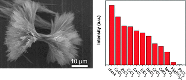 Graphical abstract: Straw-sheaf-like terbium-based coordination polymer architectures: microwave-assisted synthesis and their application as selective luminescent probes for heavy metal ions