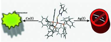 Graphical abstract: The structural and electronic impact on the photophysical and biological properties of a series of CuI and AgI complexes with triphenylphosphine and pyrimidine-type thiones