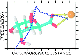 Graphical abstract: Binding of bivalent metal cations by α-l-guluronate: insights from the DFT-MD simulations