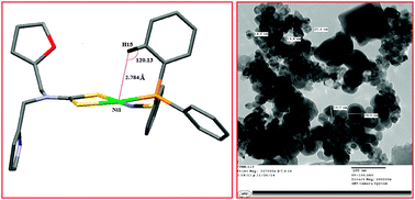 Graphical abstract: Nickel(ii) dithiocarbamate complexes containing the pyrrole moiety for sensing anions and synthesis of nickel sulfide and nickel oxide nanoparticles